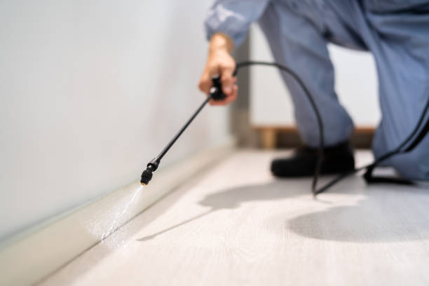 Bed Bug Pre-Treatment Preparation Assessment in Silver Springs