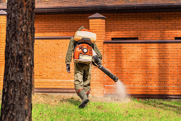 Bed Bug Clearance Verification and Documentation in Silver Springs